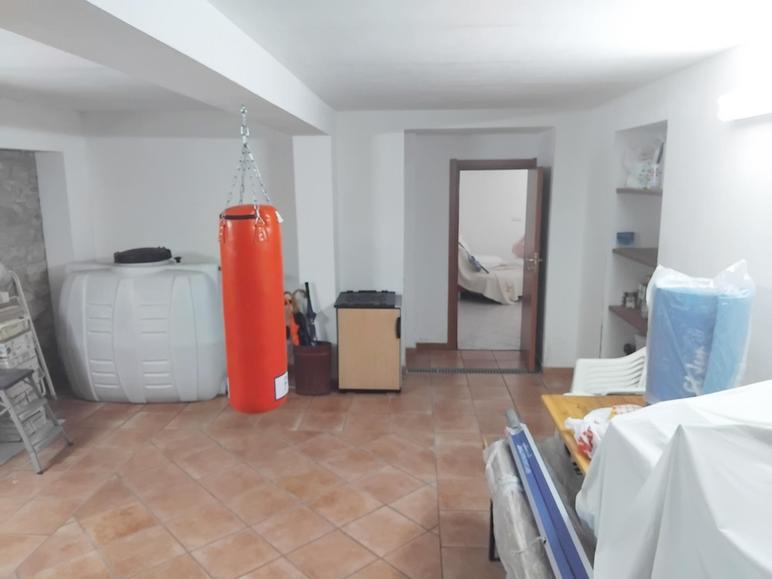  id.5266329