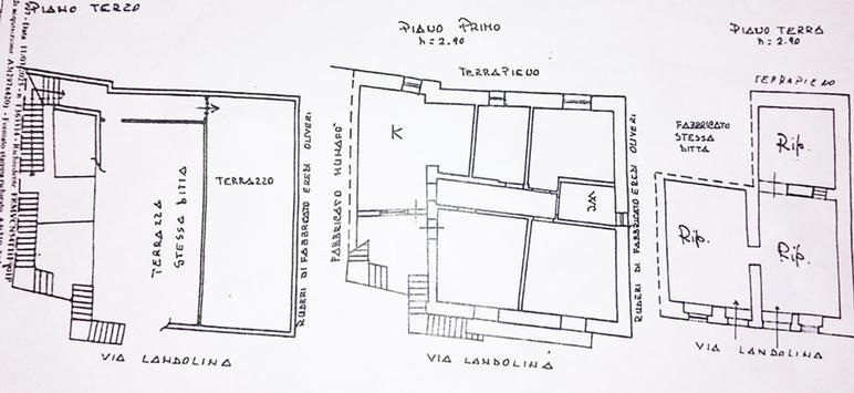  id.5274481